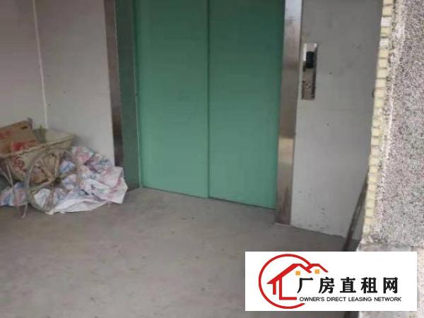  房东本人出租沙荷路独院带电梯厂房