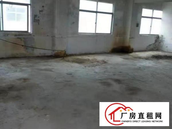  房东本人出租沙荷路独院带电梯厂房