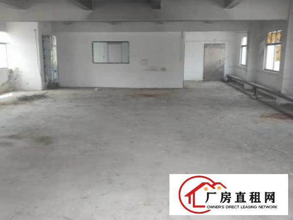  房东本人出租沙荷路独院带电梯厂房