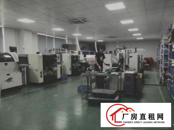  万利路一楼厂房460平招租，户型方正