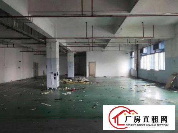  原房东低价出租！旱塘村急租3楼带地坪漆600平厂房