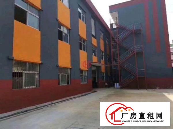  独门独园全新厂房出租有意可来电