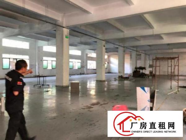  横岗安良新出独院3000平方公摊小单价20
