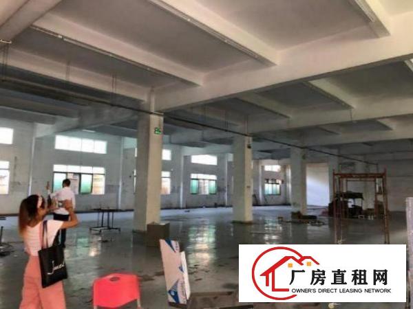  横岗安良新出独院3000平方公摊小单价20
