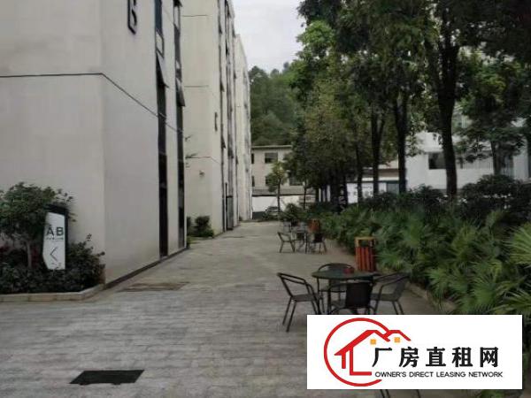  横岗六约社区新出精装修厂房1200平方出租，可拎包入住