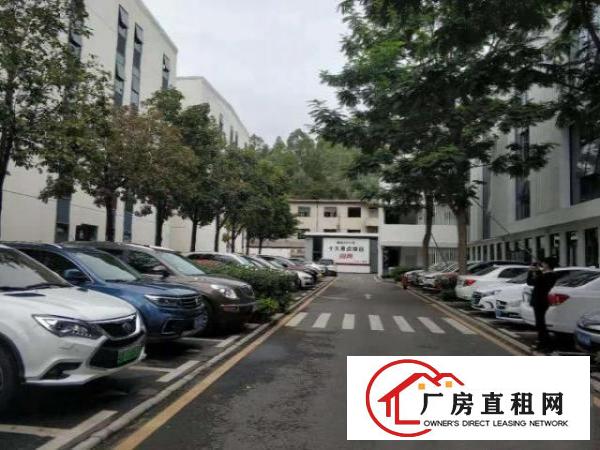  横岗六约社区新出精装修厂房1200平方出租，可拎包入住