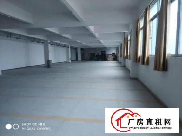  横岗地铁口电商小面积厂房加办公300到600平米大小分组