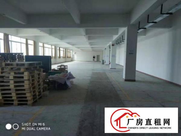  横岗地铁口电商小面积厂房加办公300到600平米大小分组