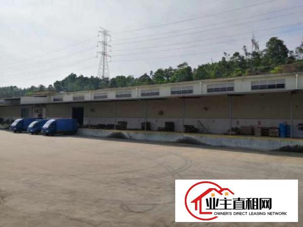  出租龙岗区横岗大型物流园6500平.空地1万带卸货平台。