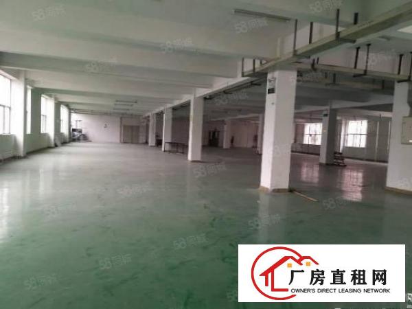  横岗原房东一楼1100平出租，可分租，高度5.5米，