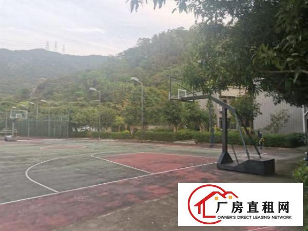  养老院月子中心培训院隆重招租