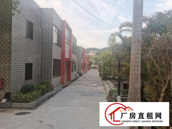  养老院月子中心培训院隆重招租