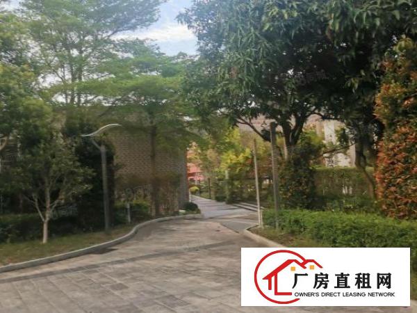  养老院月子中心培训院隆重招租