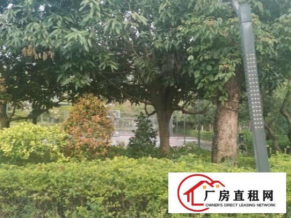  养老院月子中心培训院隆重招租