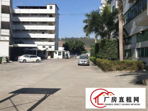  横岗荷坳新出原房东厂房2200平，报价20元一平带装修