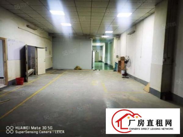  新出横岗安良无尘车间498平，不用转让费