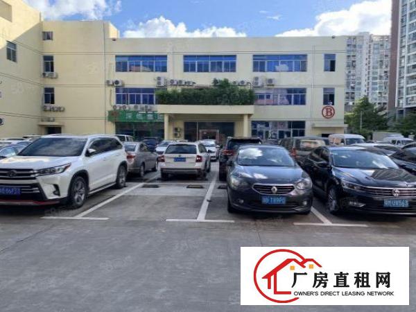 荷坳大小面积电商园出租100平200平500平1000平