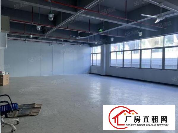  荷坳大小面积电商园出租100平200平500平1000平