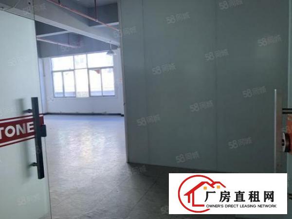  荷坳大小面积电商园出租100平200平500平1000平