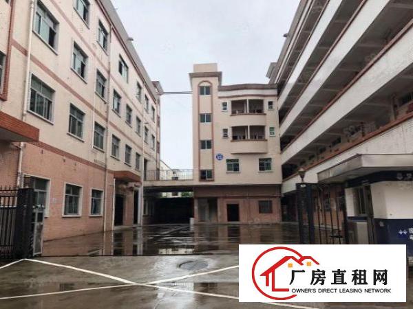  横岗新出原房东一楼500至1000平方招租