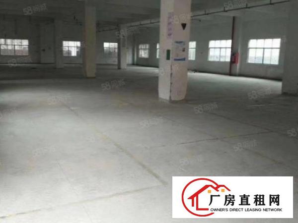 横岗六约原房东新出150和260平方小面积厂房出租