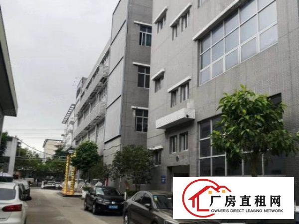  横岗六约塘坑地铁口旁