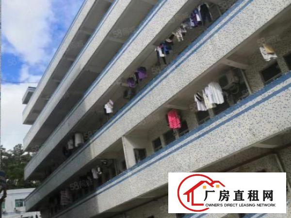  横岗西坑新出村委独院8800平方空地大交通方便