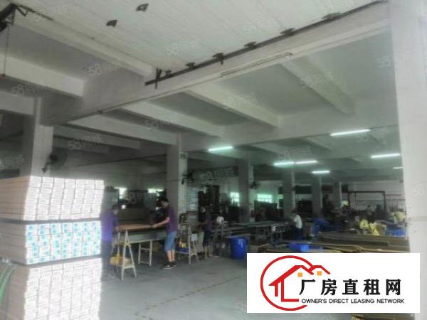  横岗西坑新出村委独院8800平方空地大交通方便