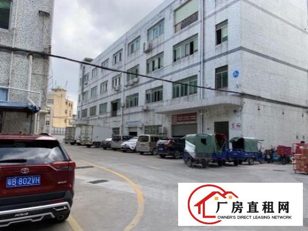  红棉路四联一楼标准厂房700平方出租.可分租