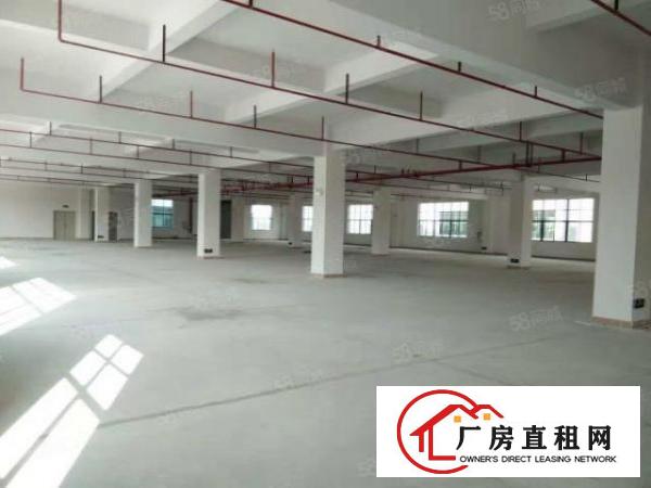  原房东！安良村新出960平厂房出租，空地大
