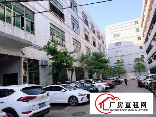  原房东！安良村新出960平厂房出租，空地大