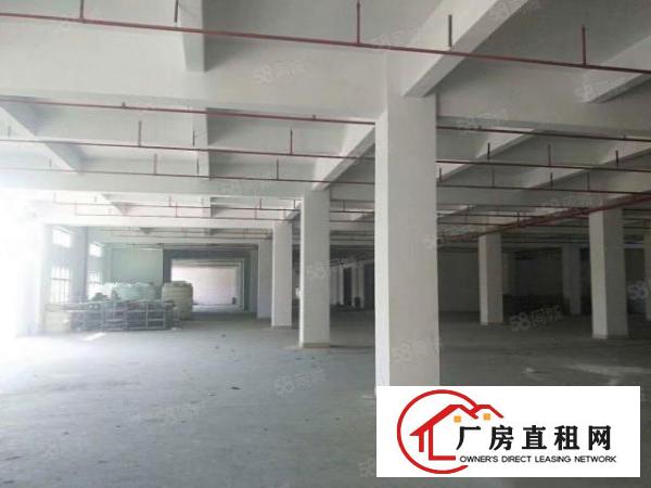  原房东！安良村新出960平厂房出租，空地大