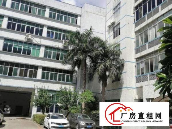  横岗安良大工业区200至2000平方厂房出租，有装修