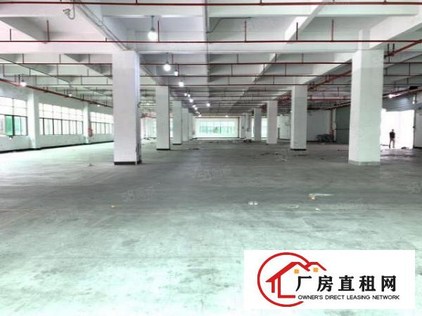  六约一楼450平方5米高业主直租空地大免费停车