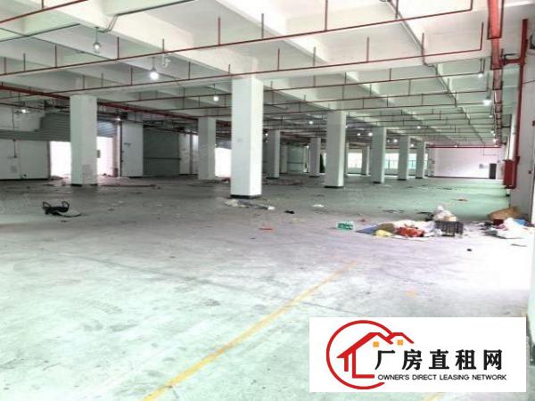  六约一楼450平方5米高业主直租空地大免费停车