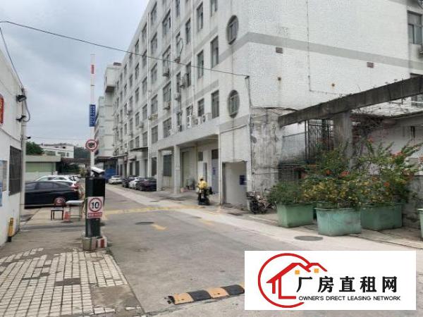  六约一楼450平方5米高业主直租空地大免费停车