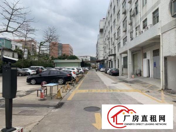  六约一楼450平方5米高业主直租空地大免费停车