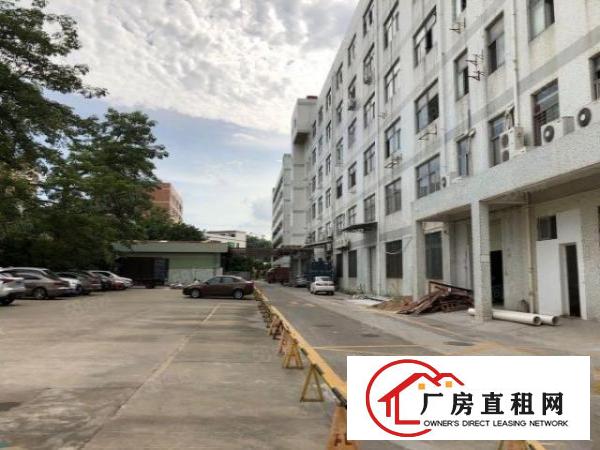  六约一楼450平方5米高业主直租空地大免费停车