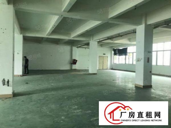  横岗安良沙荷路主干道旁新出楼上280平带精装修现成服装厂出租