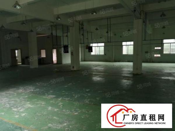  横岗安良沙荷路主干道旁新出楼上280平带精装修现成服装厂出租