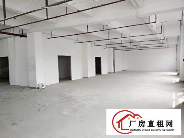  横岗新出厂房280平米低价厂房出租仓储生产办公都行，空地大
