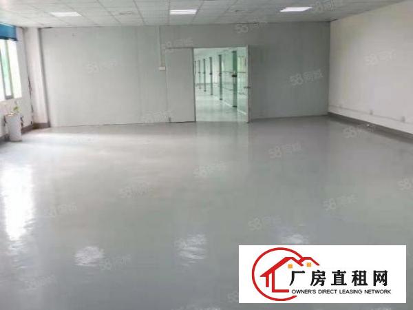  横岗新出原房东650平方精装修厂房出租