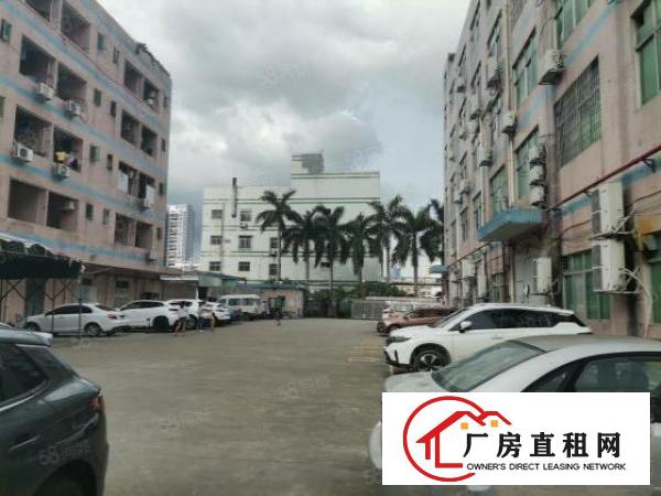  横岗新出原房东650平方精装修厂房出租