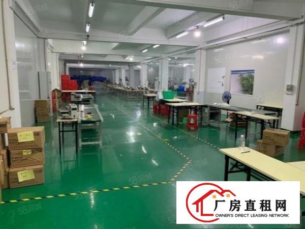  出租横岗无尘车间豪华办公室二楼1300平方