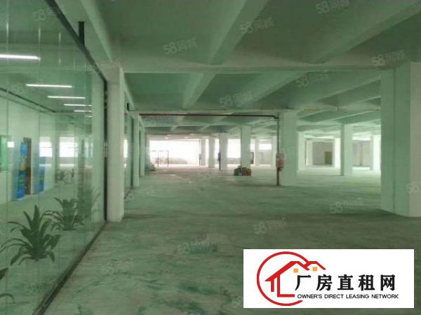  低价出租横岗189工业区新出一楼800平方，层高6.5米