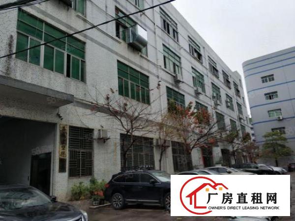  横岗六约1100平厂房豪华装修，带消防喷淋，可做生产仓库办公