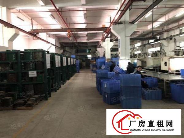  横岗安良小独院标准厂房带喷淋装修出租5000平方