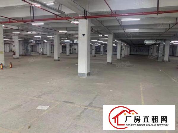  非中介工业园厂房业主直租