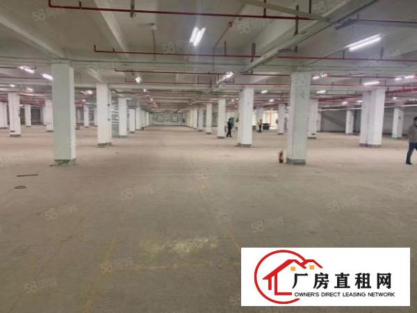  非中介工业园厂房业主直租