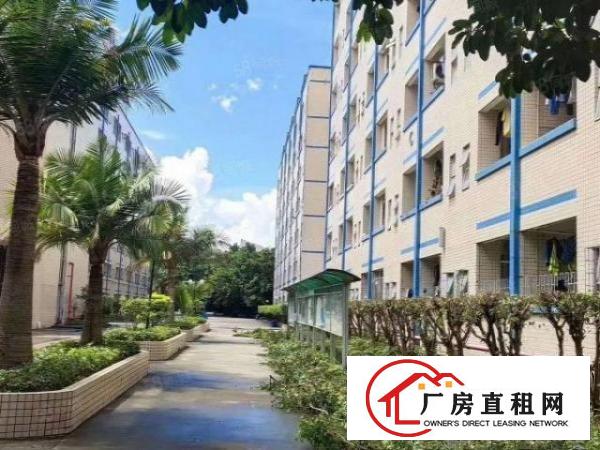  六约一楼475平方楼上85，130，200平方小厂房
